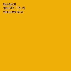#EFAF06 - Yellow Sea Color Image